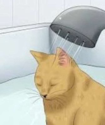 _
