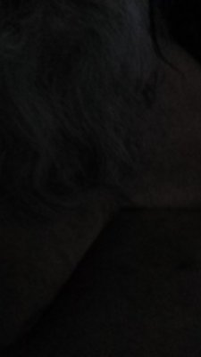 me at stupid o'clock wishing i was sleeping