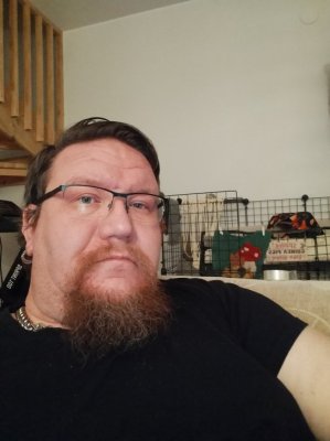 _