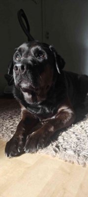 Jotain random kuvii :)