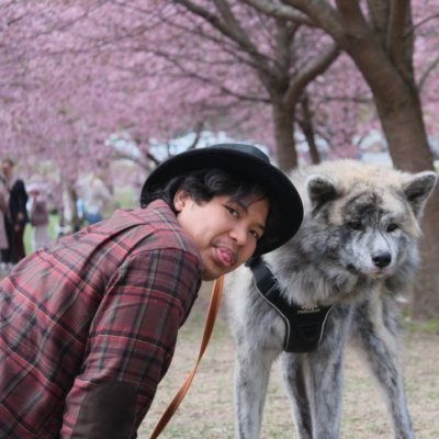  Omistan Akita inu koiran