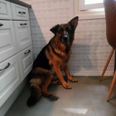 Luppis 🥺❤️