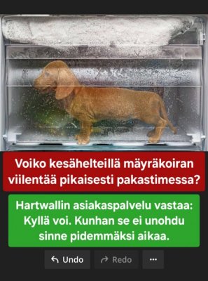 Hartwall ei ottanut vastuuta kun mäyräkoirani poksahti pakastimeen!