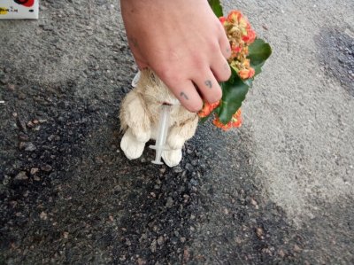 Nyt jäit kiinni