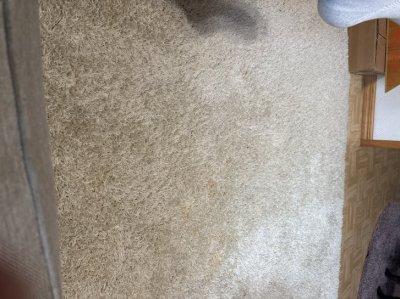_