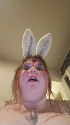Dead bunny