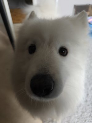 _