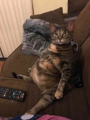 _