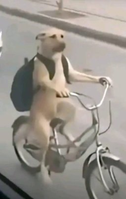 _