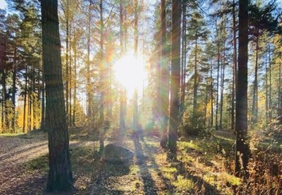 Legit tuleeks nää kuvat sillee mageesti vai jonnekki hevon perseesee:D