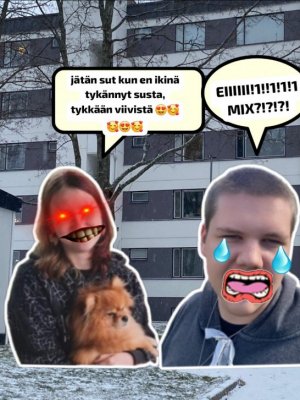 😭😭😢😭😢😢😭😢😢土地是團體組調查 INKIVÄÄRI JÄTTI MUT!!1!!1!1 