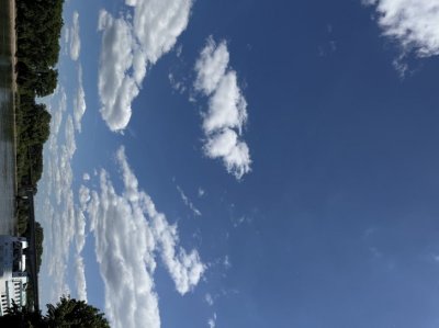 _