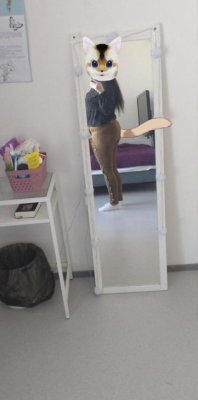 Haluun olla myös koira välillä♥️