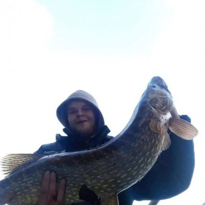 8-9kg hauki Vuokselta isolla lumikalalla. 