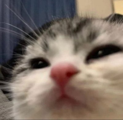 _