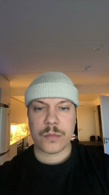 Tulkaa snäppää:joelryhanenn