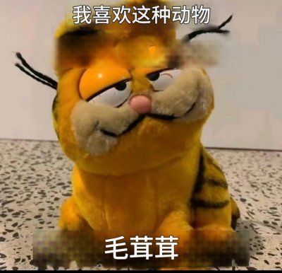  En esiinny kuvassa ehkä