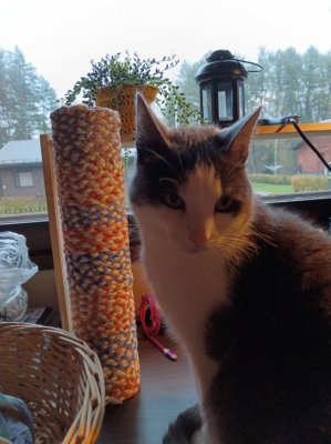 Tuunataan kiipeilypuuta