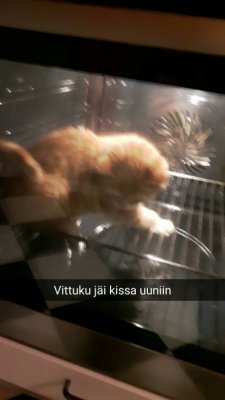 Oletuskuva