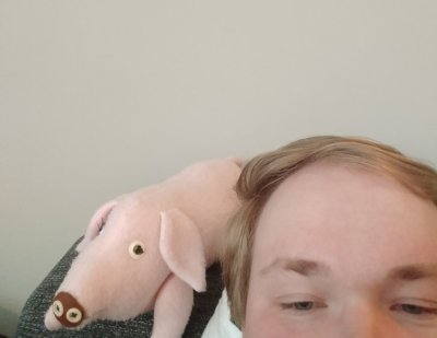 Pig
