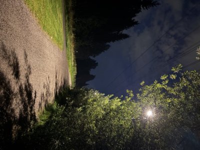_