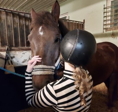 🤎🐎
