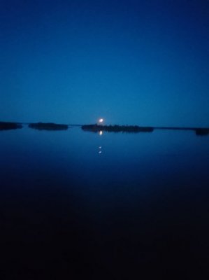 _